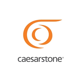 CAESARSTONE LTD logo