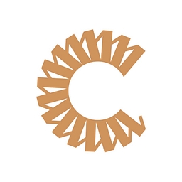 DATA STORAGE CORP logo