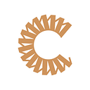 Data Storage Corporation