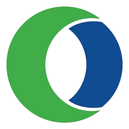 DYFSF logo