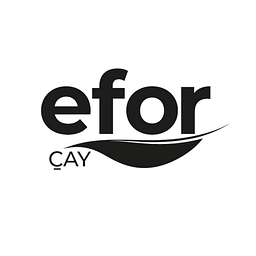 Efor Yatirim Sanayi Ticaret A.S. Logo