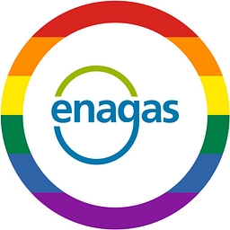 Enagás S.A. Logo