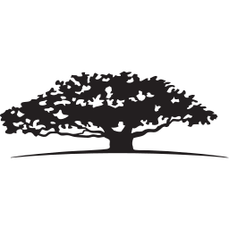 شعار WisdomTree U.S. MidCap Fund