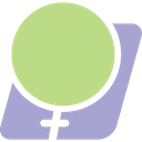 Femasys Inc.