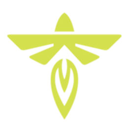 شعار Firefly Aerospace Inc