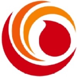 China Aviation Oil (Singapore) Corporation Ltd Logo
