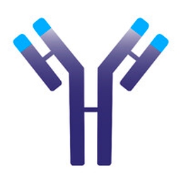 Immunovant Inc. Logo