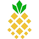 Communications Systems, Inc.