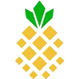 Communications Systems Inc logo