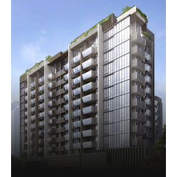 شعار Magnitude International Ltd