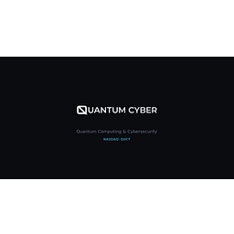 Quantum Cyber N.V. logo