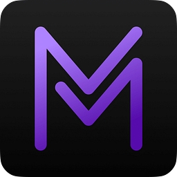 MYSEUM INC logo