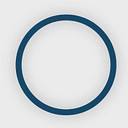 ONCOLYTICS BIOTECH INC