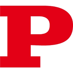 Paisalo Digital Limited Logo