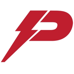Pioneer Power Solutions, Inc. logo