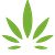 Raphael Pharmaceutical Inc.
