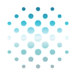 Rare Earths Americas, Inc. logo