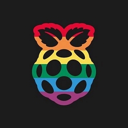 Raspberry Pi Holdings plc Logo