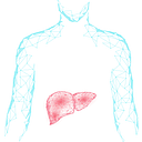 Sagimet Biosciences Inc.