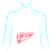 Sagimet Biosciences Inc.
