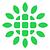 Shoals Technologies Group, Inc.