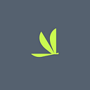 Volato Group, Inc.