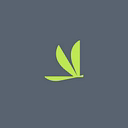 Volato Group, Inc.