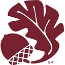 STBI logo