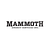 Mammoth Energy Services, Inc.