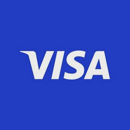 V logo