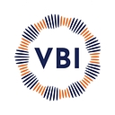 VBIV logo