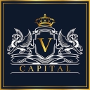 VCIG şirket logosu