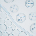 Viking Therapeutics, Inc.
