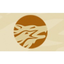 WESTERN COPPER & GOLD CORP logo