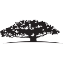 WT logo
