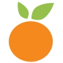 Satsuma Technology logo