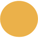 Torex Gold Resources Inc logo