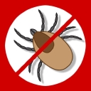 Double Ticks logo