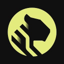 TigerData logo