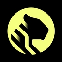 Tiger Data logo