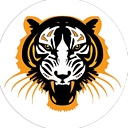 Tiger Electrical logo
