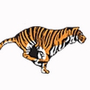 Tiger Fuel Company logo