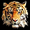 Tiger Group, Inc.   Home & Building Inspections logo