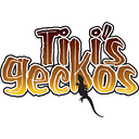 TikisGeckos