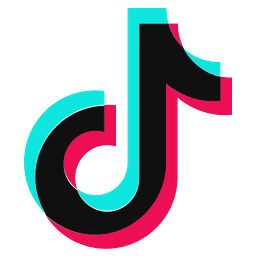 Logo of tiktok.com