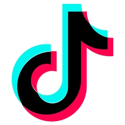 Extract Tiktok public profile information logo