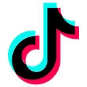 TikTok Pte. Ltd. logo