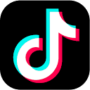 TikTok USDS JV logo