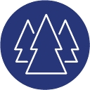 Btg Pactual Timberland Investment Group logo