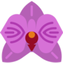 TIMELESS GLOW STUDIO CORP logo